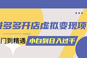 拼多多开店虚拟变现项目:入门到精通 从小白到日入1000(完整版)6月13更新