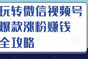 玩转微信视频号爆款涨粉赚钱全攻略,让你快速抓住流量风口,收获红利财富