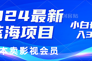 0成本卖影视会员,2024最新蓝海项目,小白也能日入3位数