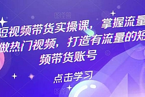 热门短视频带货实战 掌握流量密码 做热门视频 打造有流量的短视频带货账号
