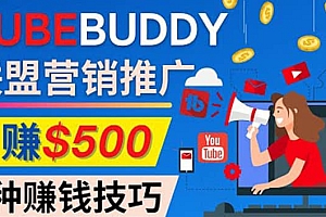 推广TubeBuddy联盟营销项目,完全免费的推广方法,轻松月赚500美元
