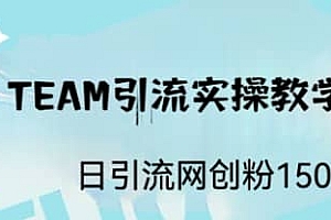 ST TEAM引流实操课,日引流网创粉100+