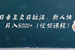 虚拟项目垂直类目玩法,新人快速起店,月入5000+【视频课程】