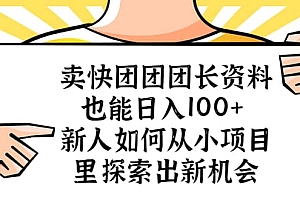 卖快团团团长资料也能日入100+ 新人如何从小项目里探索出新机会
