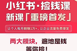 小红书之检钱课:从0开始实测每月多赚1.5w起步,赚钱真的太简单了(98节)