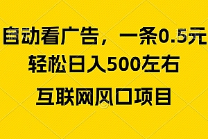 广告收益风口,轻松日入500+,新手小白秒上手,互联网风口项目