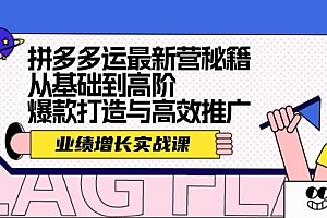 拼多多运最新营秘籍:业绩 增长实战课,从基础到高阶,爆款打造与高效推广