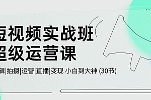 短视频实战班-超级运营课,|剪辑|拍摄|运营|直播|变现 小白到大神 (30节)