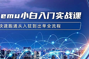 Temu小白入门实战课:跨境拼多多电商培训 快速跑通从入驻到出单全流程-12节