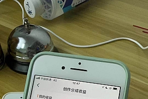 全网独家首发,视频号BUG,超短期项目,单号每日净收益300-5000!