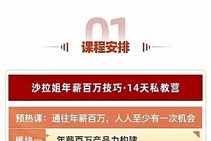 通往百万年薪之路·陪跑训练营:职场外挂/年薪百万技巧/职业规划定制/等等