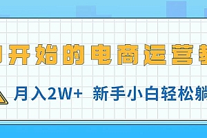 从0开始的电商运营教学,月入2W+,新手小白轻松躺赚