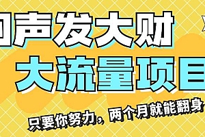 闷声发大财,大流量项目,月收益过3万,只要你努力,两个月就能翻身