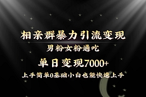 全网首发相亲群暴力引流男粉女粉通吃变现玩法,单日变现7000+保姆教学1.0