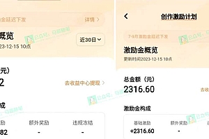 又一个全新短视频平台,疑似巨头之作,新手小白入局初期红利的关键,想…