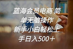 蓝海会员电商 简单无脑操作 新手小白轻松上手日入500+