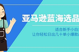 亚马逊-蓝海选品课:适合新手小白卖家,让你轻松日出几十单小爆款产品