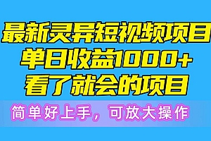 最新灵异短视频项目,单日收益1000+看了就会的项目,简单好上手可放大操作