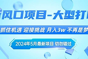 2024年5月最新风口项目,抓住机遇,迎接挑战,月入3w+,不再是梦