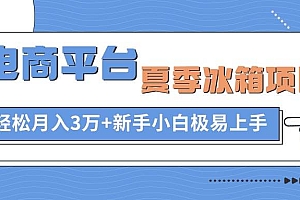 电商平台夏季冰箱项目,轻松月入3万+,新手小白极易上手