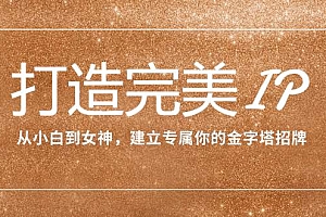 打造完美IP:从小白到女神,建立专属你的金字塔招牌(15节课)