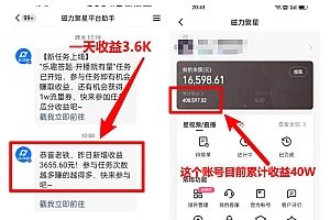 找茬小游戏直播,强开磁力聚星,轻松日入2000+,小白也能轻松上手