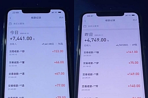 利用淘宝公域+私域差价掘金,日赚1000-5000元,工作室可放大操作,实操…