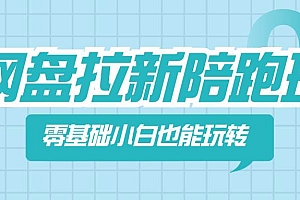 网盘拉新陪跑班,零基础小白也能玩转网盘拉新