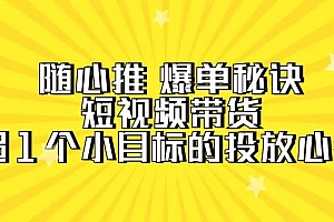 随心推 爆单秘诀,短视频带货-超1个小目标的投放心得(7节视频课)