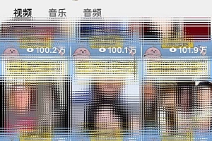 蓝海赛道视频号 娱乐新玩法每天2小时小白也能日入1000+