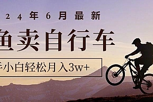 2024年6月最新闲鱼卖自行车,新手小白轻松月入3w+项目