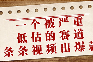 一个被严重低估的赛道,条条视频出爆款,一个月变现3万+