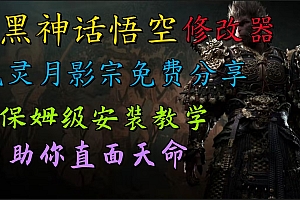 全新爆火项目,首批《黑神话·悟空》修改器售卖,日入1000+