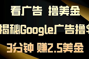 看广告,撸美金!3分钟赚2.5美金!日入200美金不是梦!揭秘Google广告撸美金全攻略!