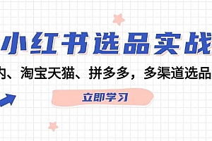 小红书选品实战:站内、淘宝天猫、拼多多,多渠道选品策略